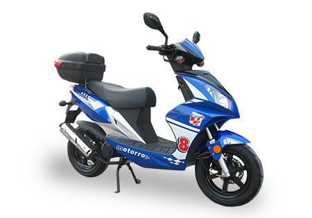 Polly 50
